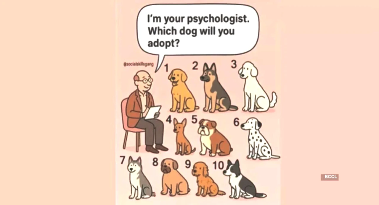 Köpek Seçiminiz Kişiliğinizi Nasıl Yansıtıyor? Favori Irkınız Neyi Anlatıyor?